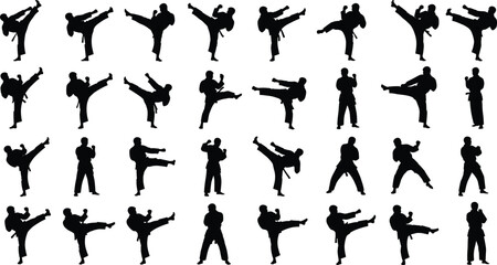 Martial arts silhouette collection featuring karate and taekwondo fighters performing high kicks, combat stances and dynamic training movements isolated © Nupoor's World
