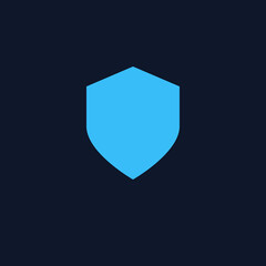 Cyber Security Data Protection Shield