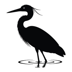 Heron standing in water side view Vector, Silhouette, Illustration