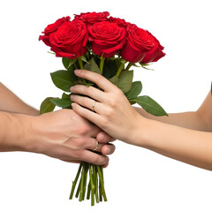 Hands Holding Bouquet of Red Roses.