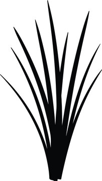 silhouette of long grass blades bundle for nature themed vector design