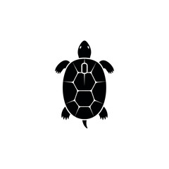 Obraz premium Computer Mouse Shaped Like Turtle Shell