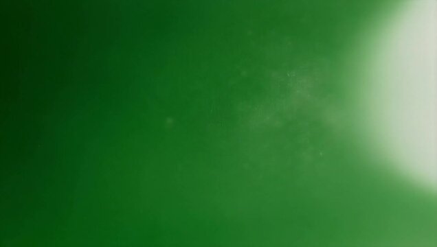 A close-up view of a vibrant green surface with a bright light reflection from a top-right viewpoint