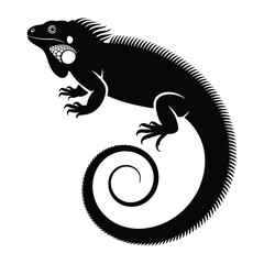 Iguana tail curled Vector, Silhouette, Illustration
