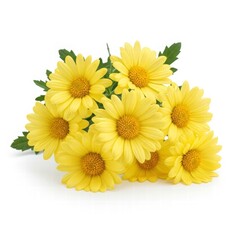 Naklejka premium Golden Blooms in Full View: A vibrant cluster of radiant yellow chrysanthemums, capturing the essence of floral elegance and nature's cheerful spirit.