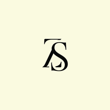 Elegant Intertwined Z and S logo design. ZS monogram. Modern, sophisticated branding symbol suitable for luxury fashion, design studios, and editorial logos.