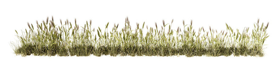 Long realistic green grass strip isolated on white background. Natural vegetation border element ideal for landscaping design, website banners, environmental graphics, game development © Diem