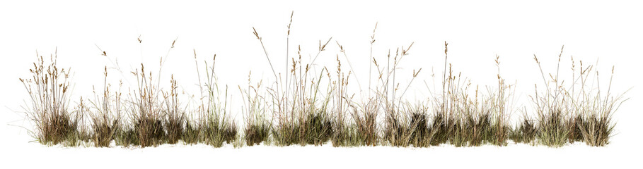 Realistic dry wild grass strip isolated on white background. Natural autumn vegetation border element ideal for seasonal design, rustic layouts, environmental concepts, drought awareness graphics © Diem