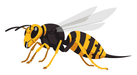 Close-up of a yellow and black wasp with transparent wings, isolated on white background