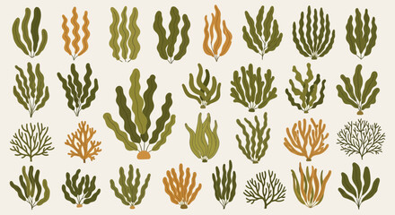 Collection of stylized seaweeds and corals in muted earthy tones © Ahda