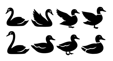 Naklejka premium Black swan and duck silhouettes, vector icons, for logo or graphic design isolated PNG with Transparent Background