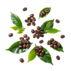Coffee beans and leaves isolated on transparent background
