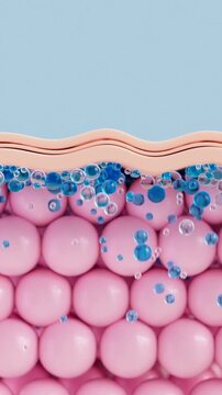 3D Animation of Hyaluronic Acid Serum Penetrating Skin Layers for Deep Hydration and Wrinkle Reduction. Collagen and Elastin Boosting Cosmetic Concept