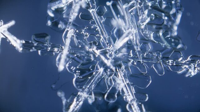 Melting snowflake ice crystals under microscope