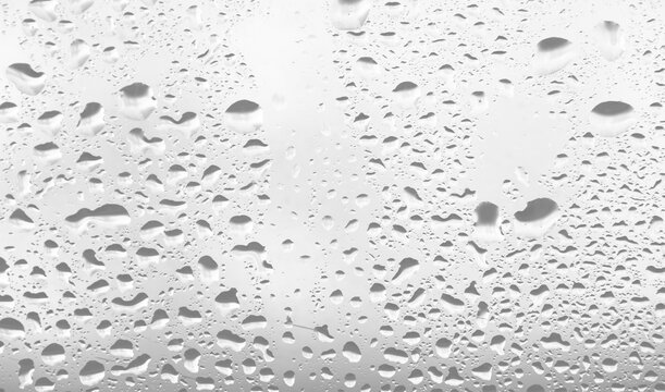 Water rain or shower drops seamless border isolated on transparent background. Realistic pure droplets condensed texture.