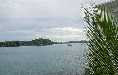 The sea with palm leaves