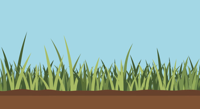 Green Grass Growing From Rich Brown Soil Under Clear Blue Sky