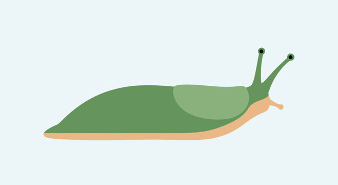 Green slug illustration, minimalist design, isolated on light blue background