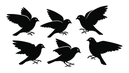 Obraz premium Six black silhouettes of birds in various flight and perched positions. isolated on white background, Vector