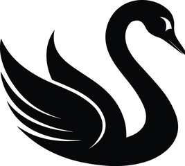 Obraz premium Elegant Swan Silhouette