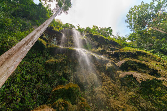 Water flows in thin streams down a moss-covered cliff at Tumalog Falls in Oslob.