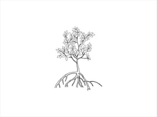 Obraz premium mangrove tree and roots line art. sketch rough image 