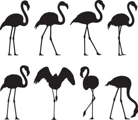Fototapeta premium Flamingo Silhouette Set – Tropical Bird Pose Collection Illustration