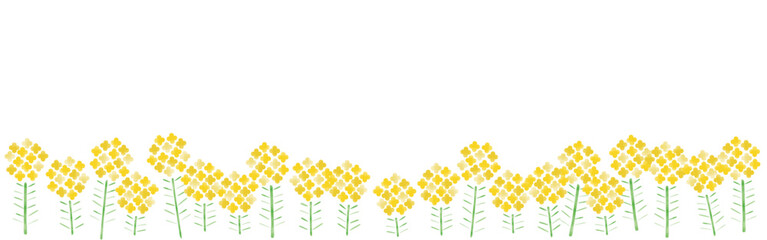 そろそろ、春が来る_菜の花畑,菜の花,浅黄色｜rapeseed flower