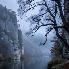 Misty morning in the mountains