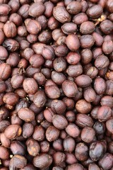 Coffee beans drying in the sun