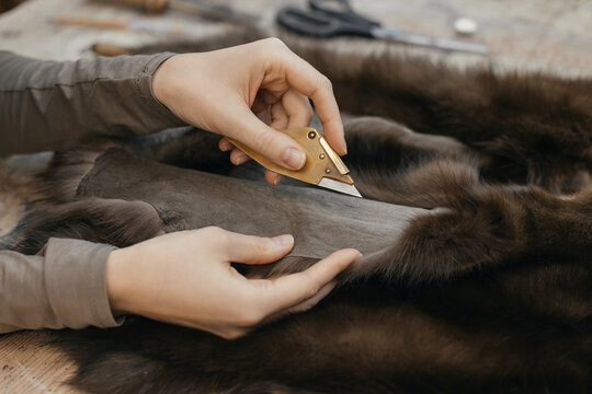 Close up of a craftsman working with a specialized knife on a natural animal pelt. Traditional techniques transform pelts into handmade fur garments, emphasizing craftsmanship and quality materials.