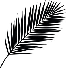 Obraz premium Black silhouette of a palm leaf