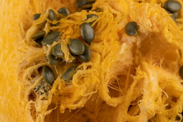 orange pumpkin cut in half with soft juicy flesh and lots of seeds without husks, pumpkin with baking pulp and healthy and nutritious seeds