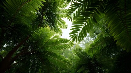 Obraz premium Looking up through a dense canopy of vibrant green tropical foliage with bright sunlight filtering through the leaves