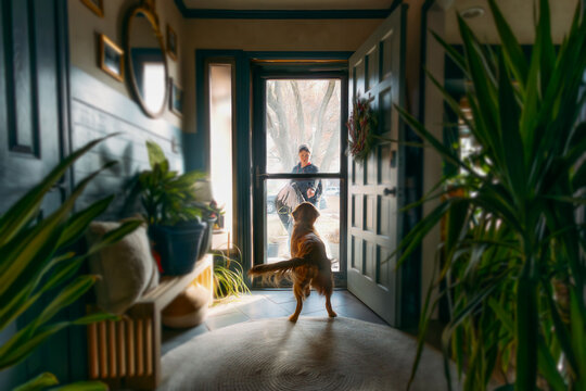 Boy coming home greeted by dog
