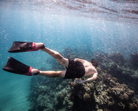boy snorkling in maui hawaii