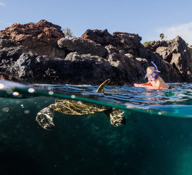 boy snorkeling and seeing a turtle