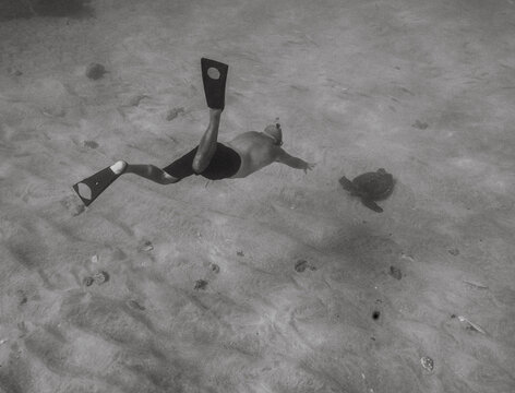 man swimming down to see a turtle