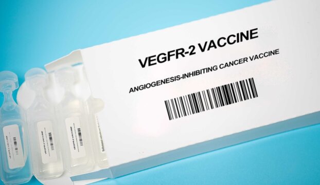 VEGFR-2 Vaccine