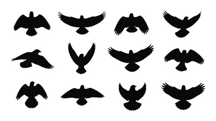 A collection of various bird silhouettes in flight and at rest isolated on white background, Vector © MDRaisul