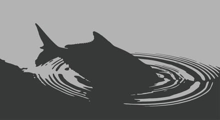 Shark Swimming in Water Silhouette © Kashif