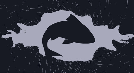 Orca Whale Swimming Through Dark Water with Gray Splash © Kashif