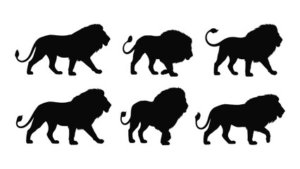 Eight black silhouettes of lions in various poses against a white background isolated on white background, Vector © MDRaisul