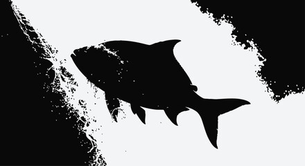 Shark Silhouette Emerging from Black and White Water © Kashif