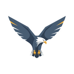 Fototapeta premium Eagle Soaring Through the Sky with Wings Spread Wide