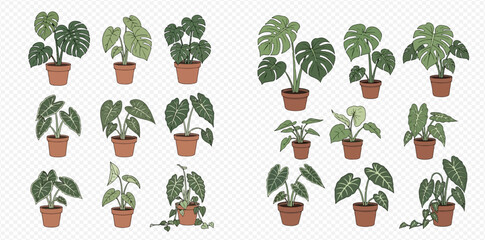 Set of various potted houseplants, including monstera, philodendron, and other tropical foliage plants, on a transparent background. © MuammarAuliyan
