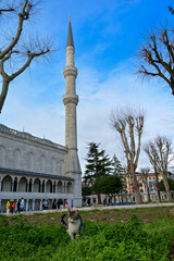 The Blue Mosque, (Sultanahmet Camii), Istanbul, Turkey.