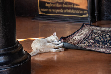 Separate fragments of a decorated Buddhist temple in Thailand on a sunny day