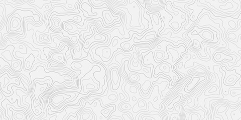 Minimal White Terrain Surface with Organic Flowing Contour Lines Smooth Relief Mapping Background with Layered Elevation Design © ALAMA