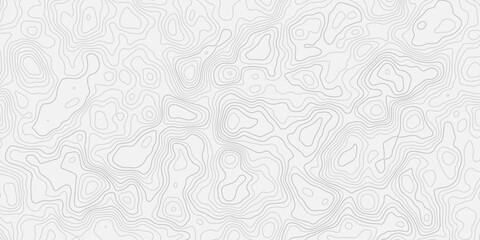 Organic Topographic Landscape Pattern with White Curved Contour Lines Smooth Relief Surface with Minimal Terrain Flow Design © ALAMA